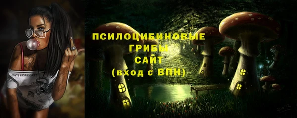бутират Зеленодольск